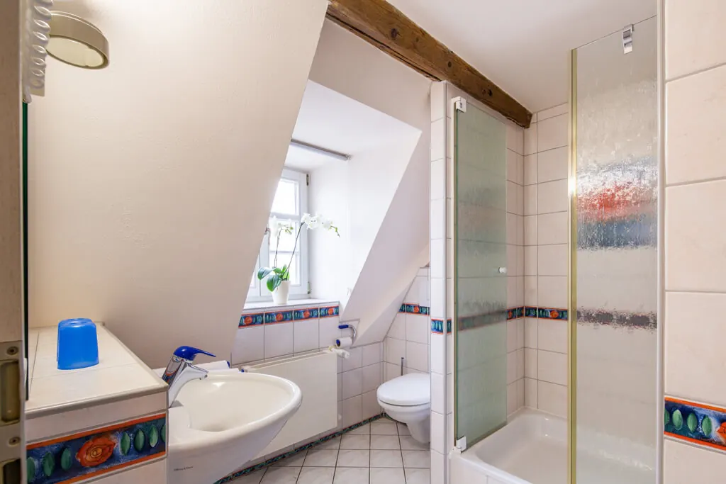 Badezimmer mit Dusche im Rosenschloss